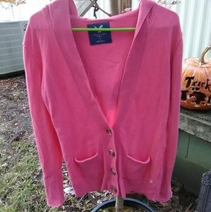 American Eagle Hooded Sweater